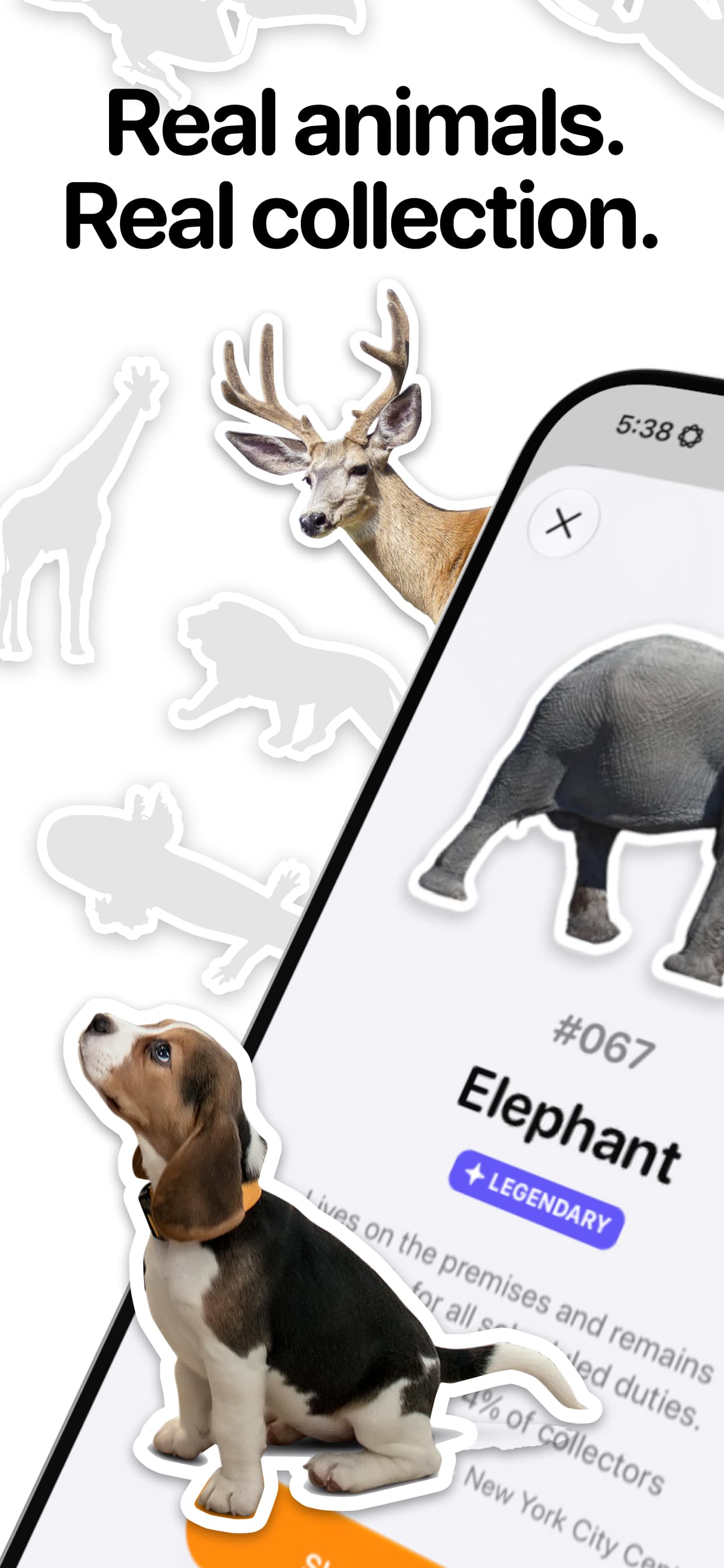 Faunatic screenshot 1