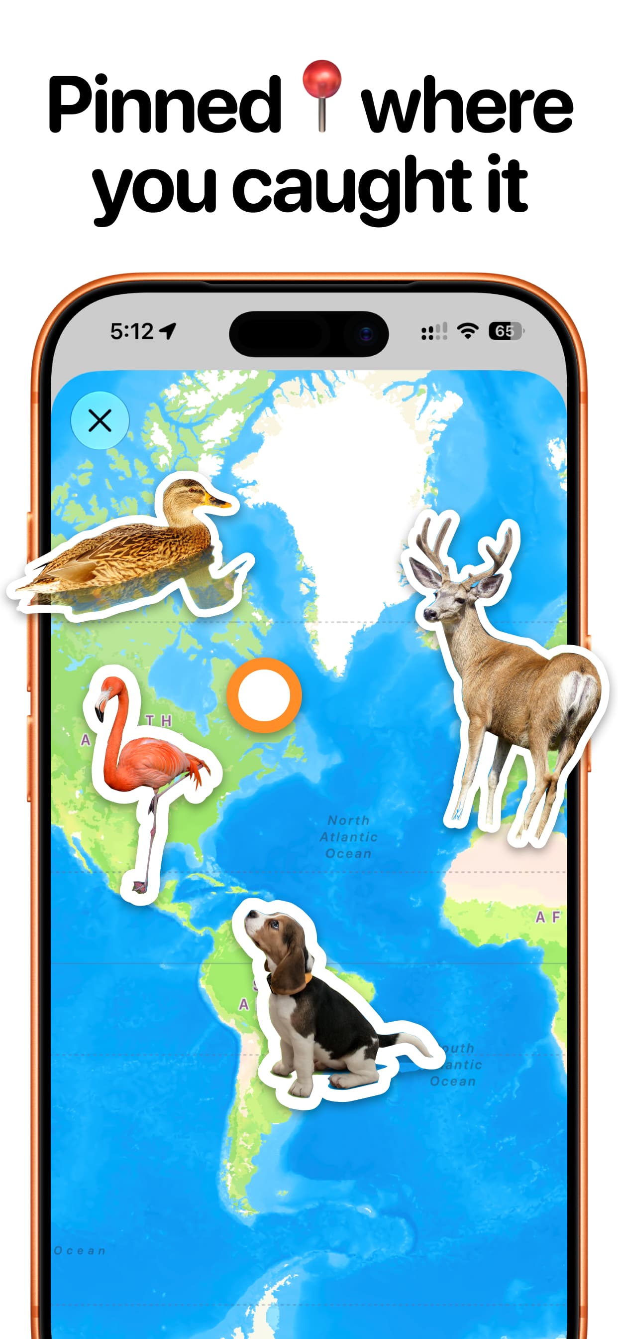 Faunatic screenshot 5